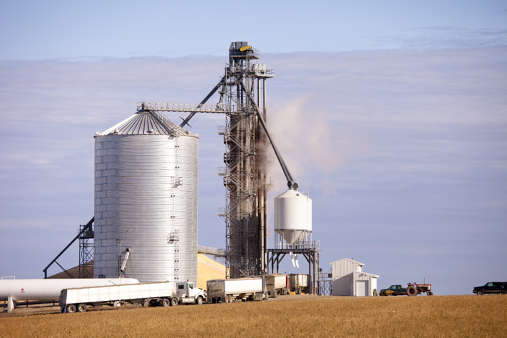 grain-producer